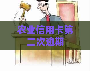 农业信用卡第二次逾期