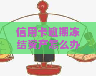 信用卡逾期冻结资产怎么办理还款：逾期后解冻方法与步骤