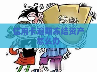 信用卡逾期冻结资产怎么办