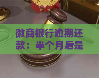 徽商银行逾期还款：半个月后是否可以仅还更低金额？