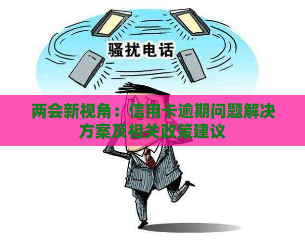 两会新视角：信用卡逾期问题解决方案及相关政策建议