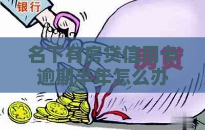 名下有房贷信用卡逾期半年怎么办