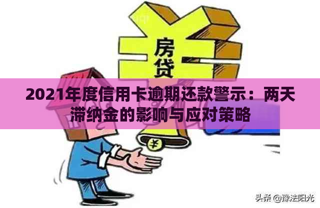 2021年度信用卡逾期还款警示：两天滞纳金的影响与应对策略