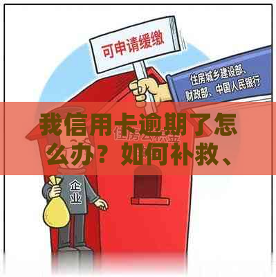 我信用卡逾期了怎么办？如何补救、影响和预防措全解析