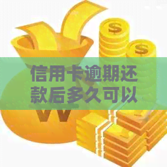 信用卡逾期还款后多久可以重新申请？办理新信用卡的相关时长及条件解析