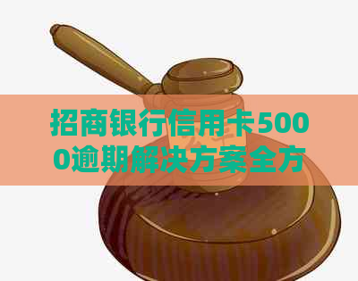 招商银行信用卡5000逾期解决方案全方位解析与指导