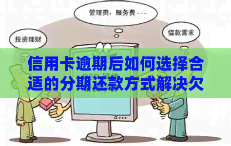 信用卡逾期后如何选择合适的分期还款方式解决欠款问题