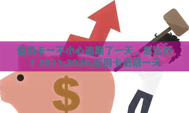 信用卡一不小心逾期了一天，怎么办？2021,2020,新用卡逾期一天