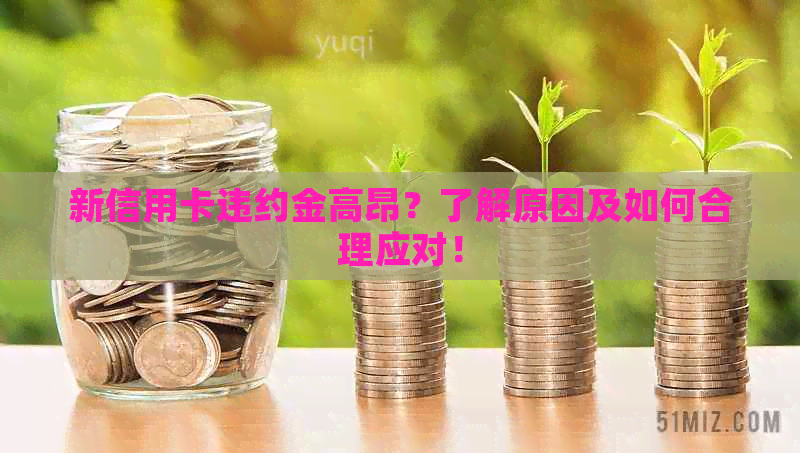 新信用卡违约金高昂？了解原因及如何合理应对！