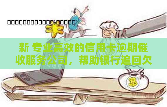 新 专业高效的信用卡逾期服务公司，帮助银行追回欠款