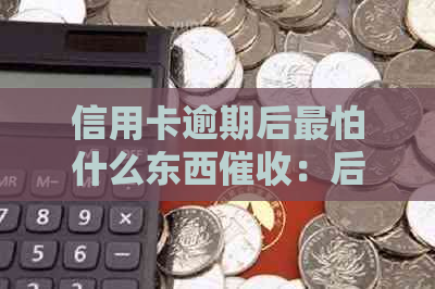 信用卡逾期后最怕什么东西：后果及应对策略