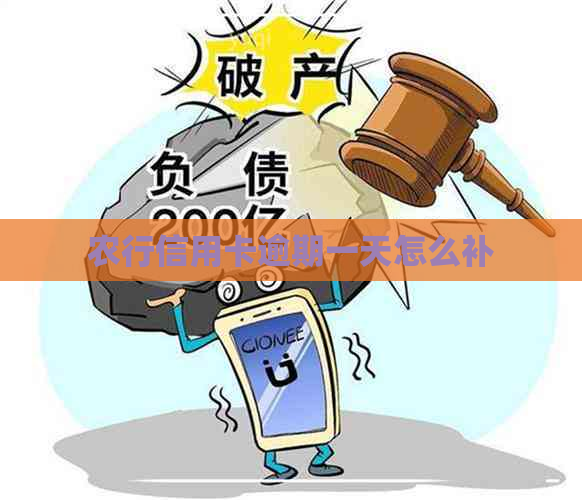 农行信用卡逾期一天怎么补