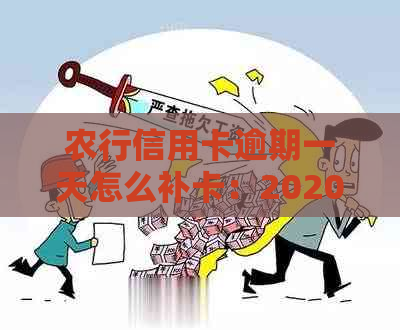 农行信用卡逾期一天怎么补卡：2020年新法规解读