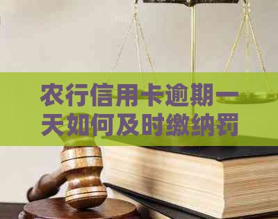 农行信用卡逾期一天如何及时缴纳罚息费用