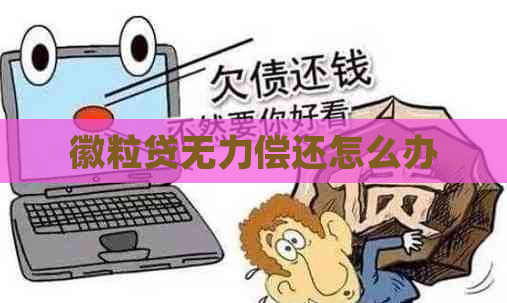 徽粒贷无力偿还怎么办