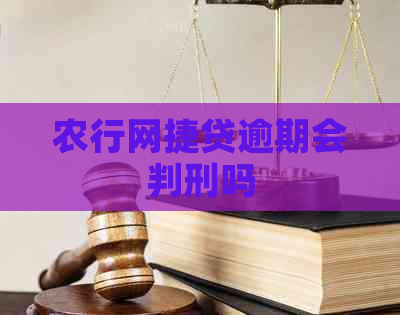 农行网捷贷逾期会判刑吗