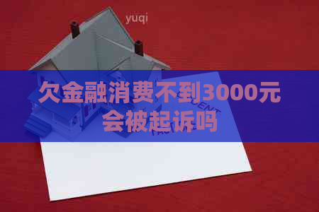 欠金融消费不到3000元会被起诉吗