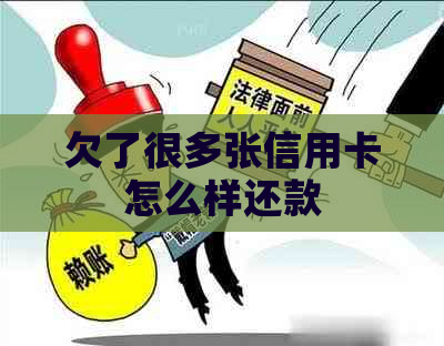 欠了很多张信用卡怎么样还款