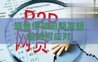 现金借款逾期发短信如何应对