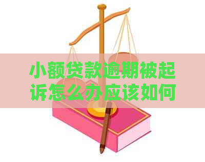 小额贷款逾期被起诉怎么办应该如何解决