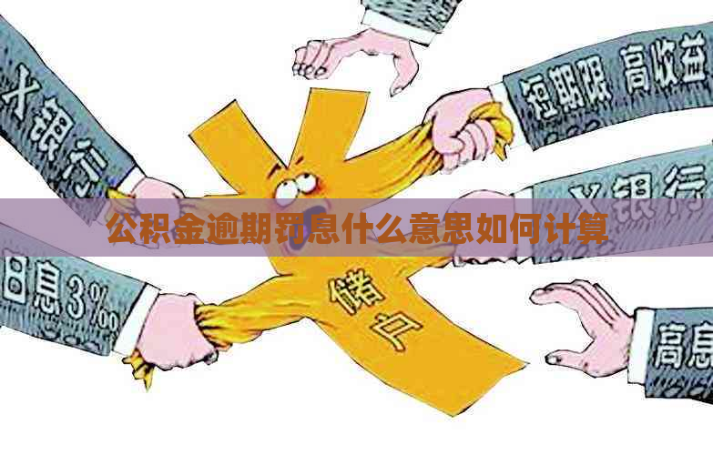 公积金逾期罚息什么意思如何计算