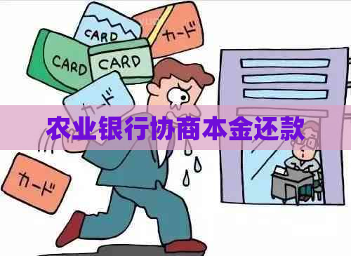 农业银行协商本金还款