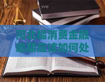 河北福消费金融逾期应该如何处理