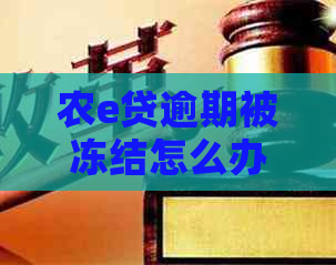 农e贷逾期被冻结怎么办