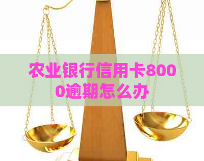 农业银行信用卡8000逾期怎么办