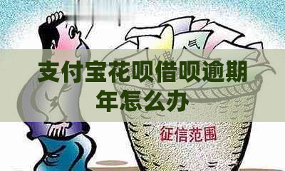 支付宝花呗借呗逾期年怎么办