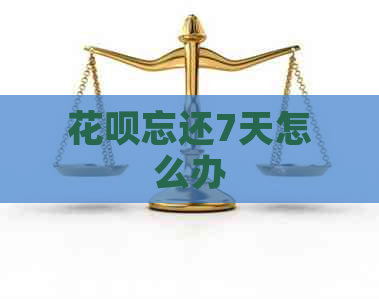 花呗忘还7天怎么办