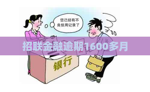 招联金融逾期1600多月