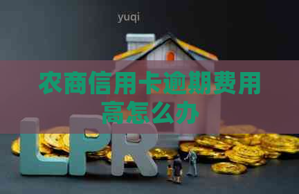 农商信用卡逾期费用高怎么办