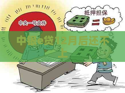 中银e贷12月后还不上