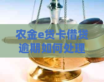 农金e贷卡借贷逾期如何处理