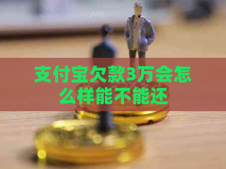 支付宝欠款3万会怎么样能不能还