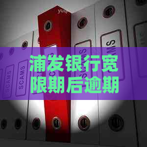 浦发银行宽限期后逾期两天会有什么影响