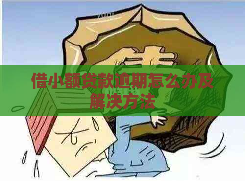 借小额贷款逾期怎么办及解决方法