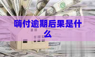 嗨付逾期后果是什么