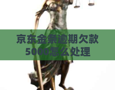 京东金条逾期欠款5000怎么处理