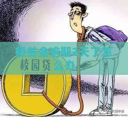 橙益金逾期2天了怎么办