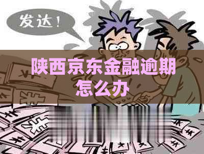 陕西京东金融逾期怎么办