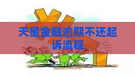 天星金融逾期不还起诉流程