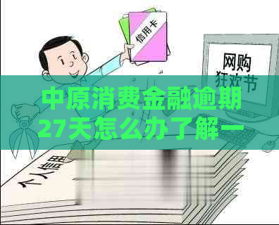 中原消费金融逾期27天怎么办了解一下