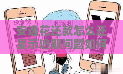 安逸花还款怎么还显示逾期问题如何解决