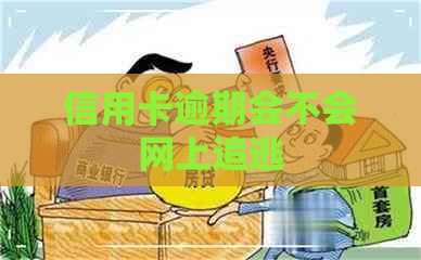 信用卡逾期会不会网上追逃