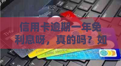 信用卡逾期一年免利息呀，真的吗？如何处理？是怎么回事？有没有人经历过？