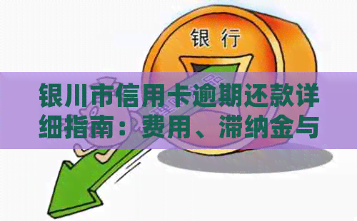 银川市信用卡逾期还款详细指南：费用、滞纳金与罚息标准全解析