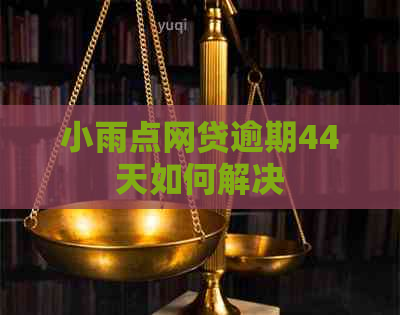 小雨点网贷逾期44天如何解决