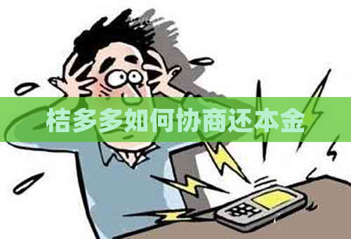 桔多多如何协商还本金